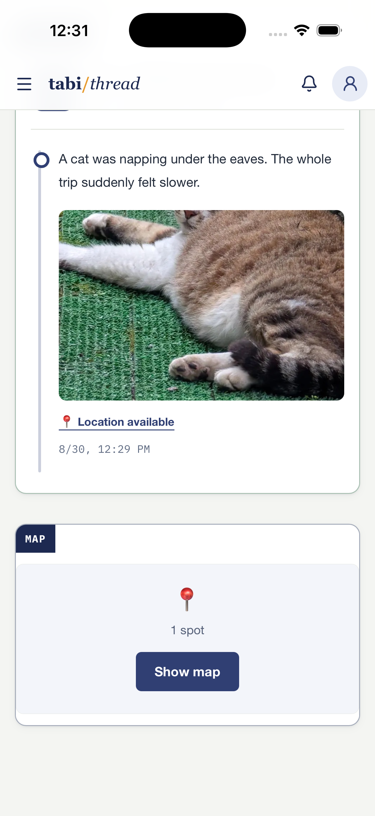 The selected line and cat photo reused in the journal preview